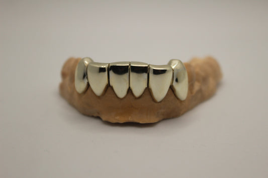 6 Set Gold Grillz